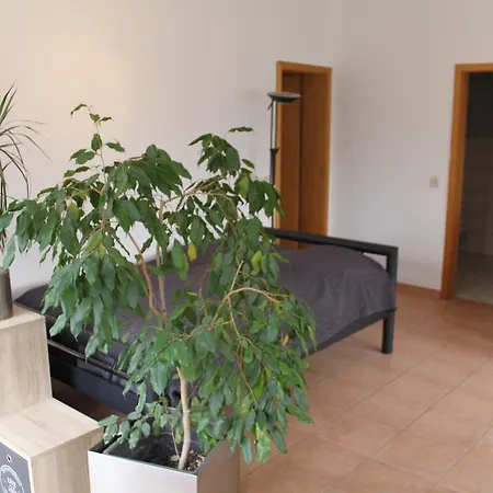 Apartment Stollis